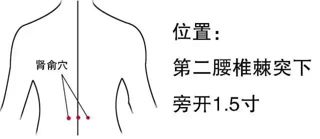 久视伤血、久卧伤气、久坐伤肉、久立伤骨、久行伤筋（附调理）