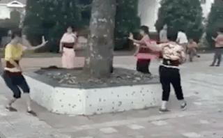 到底是作死还是养生？中国式跟风害了无数人？